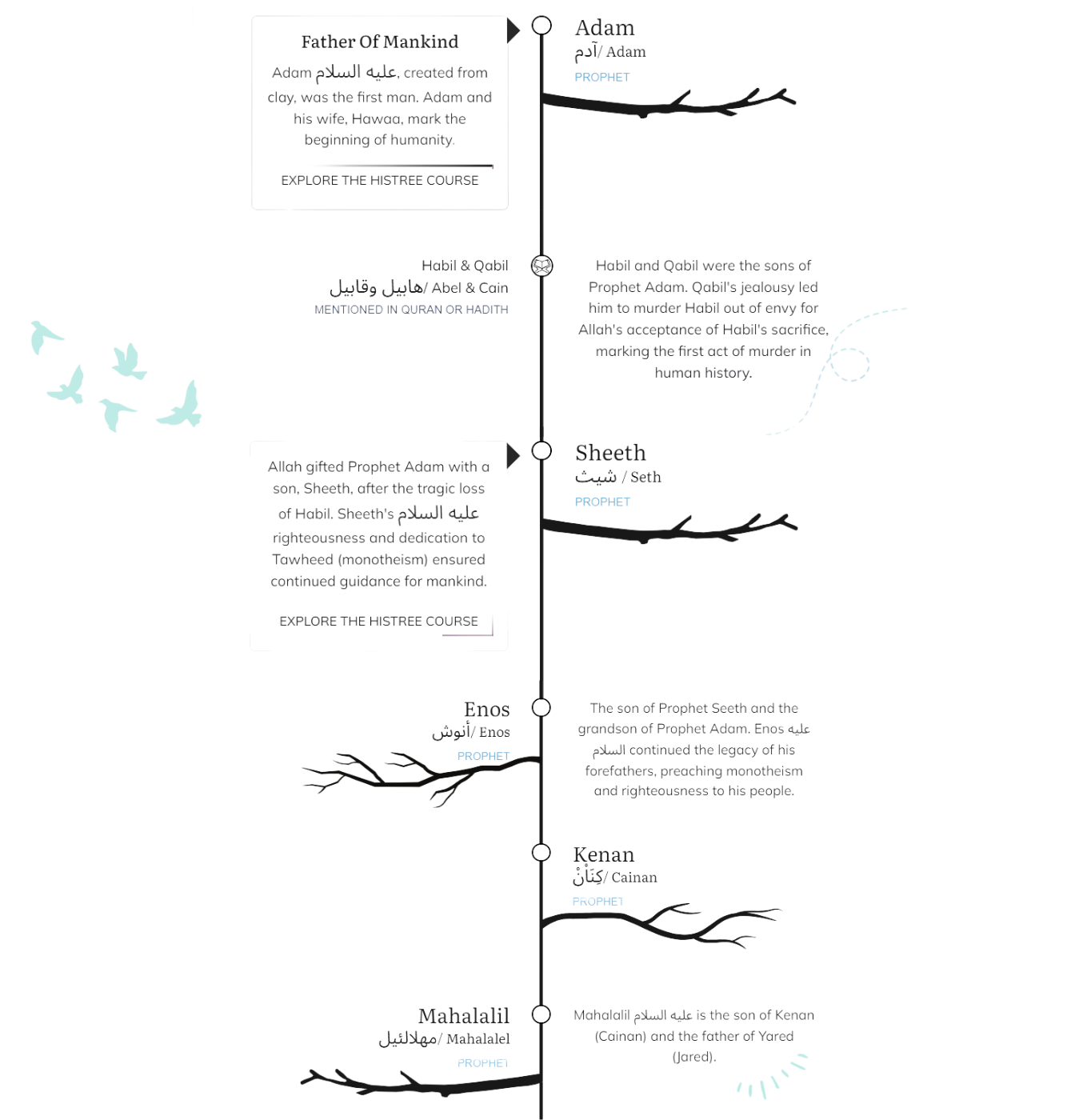 Timeline Screenshot